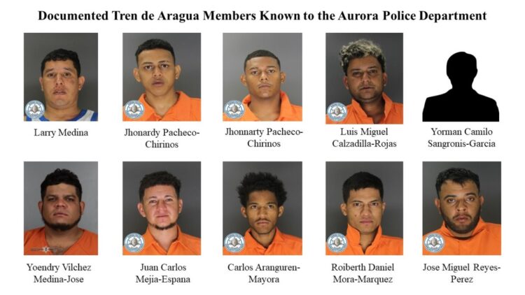 Uncovering Crimes Committed by Illegal Immigrants in the Last Two Weeks
