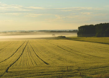 Wisconsin Joins Bipartisan Efforts to Restrict Chinese Ownership of Farmland
