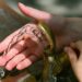 GOP Warn of Water Contamination From Abortion Pills, Pushes ‘Catch Kit’ Mandate