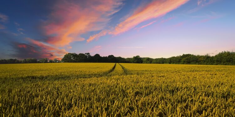 Baldwin and Van Orden Team Up on Bipartisan Bill to Support Organic Farmers