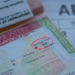 Trump Administration Intensifies Visa Reviews and Student Visa Revocations