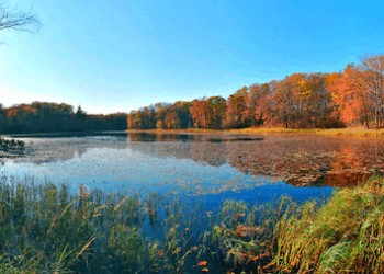 Wisconsin Democrats Push Climate Change Legislation: How it May Impact Your Wallet