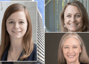 Minnesota Medicaid Fraud Cases Draw Scrutiny After Convictions Tossed, Other Charges Dismissed