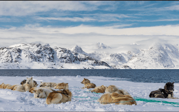 US Interest in Greenland: Geopolitical Implications and Arctic Strategy