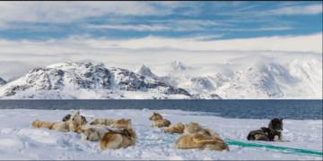 US Interest in Greenland: Geopolitical Implications and Arctic Strategy