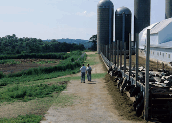 Evers Under Fire After Claiming Wisconsin Farms Need Illegal Workers