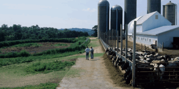 Evers Under Fire After Claiming Wisconsin Farms Need Illegal Workers