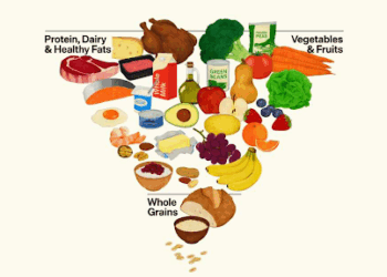 America’s Food Pyramid Gets a Radical Makeover