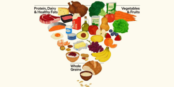 America’s Food Pyramid Gets a Radical Makeover