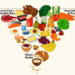 America’s Food Pyramid Gets a Radical Makeover