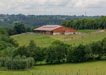 DOJ Declares USDA Race-Based Programs Unconstitutional