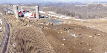 Wisconsin Assembly Blocks Massive 1,700% Livestock Fee Hike