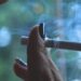 HIGH HOPES: Trump’s New Marijuana Order Could Move the Needle in Weed-Resistant Wisconsin